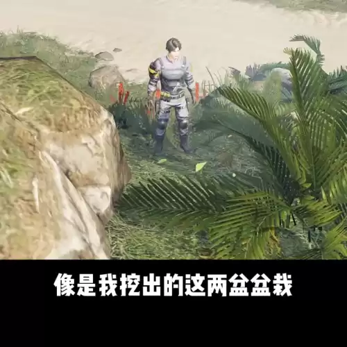 明日之后交易能不能撤回　明日之后私聊怎么清除-第3张