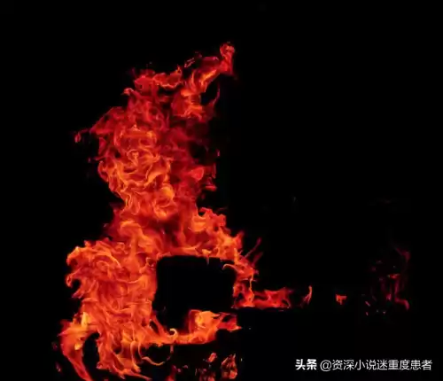 死咒岛为什么被废弃　异悚 黑色火种-第1张