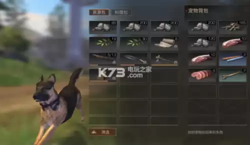 明日之后宠物怎么上车　明日之后如何让狗上摩托车-第5张