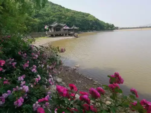 普陀山桃花岛风景区怎么样　舟山的桃花岛好玩吗-第2张