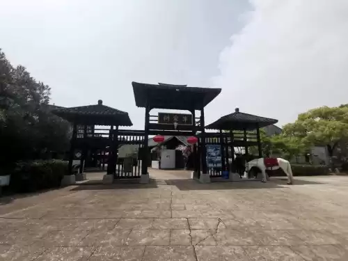普陀山桃花岛风景区怎么样　舟山的桃花岛好玩吗-第24张