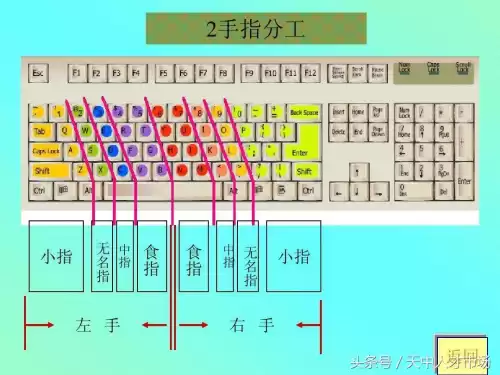 怎样新手入门打字　怎样快速学会打字零基础-第1张