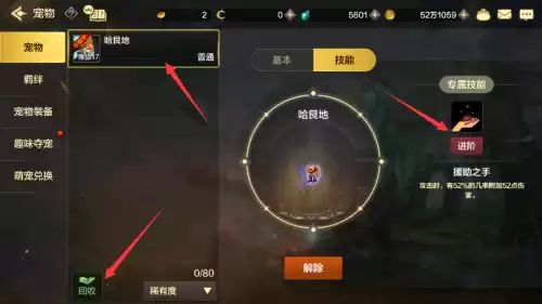 dnf宠物在哪里进阶　qq炫舞手游狐狸宠物进阶图鉴-第4张