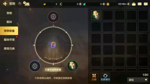dnf宠物在哪里进阶　qq炫舞手游狐狸宠物进阶图鉴-第7张