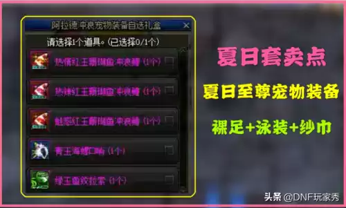 dnf夏日宠物装备和春节宠物装备对比　dnf新春宠物装备自选礼盒-第1张