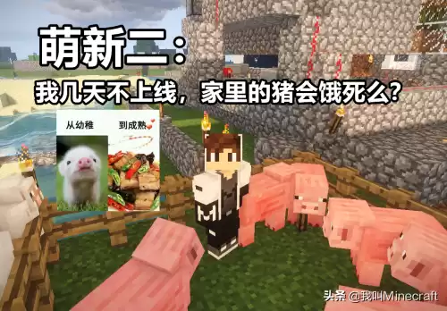 重启娜迦斯是什么　娜迦的诅咒-第2张