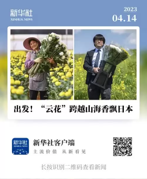 凉情辅助器在哪下正版　最凉不过暖情伤讲的是什么-第31张