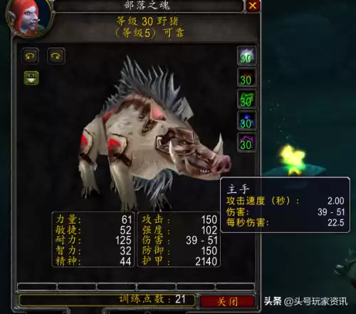 wow猎人怎么喂养宠物　魔兽世界怀旧服猎人宠物-第6张