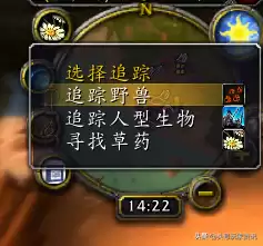 wow猎人怎么喂养宠物　魔兽世界怀旧服猎人宠物-第9张