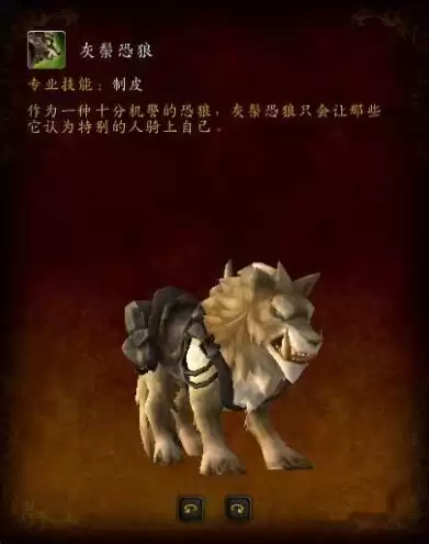 魔兽世界宝石猎豹坐骑图纸在哪买　魔兽世界带幻化的坐骑在哪里买-第18张