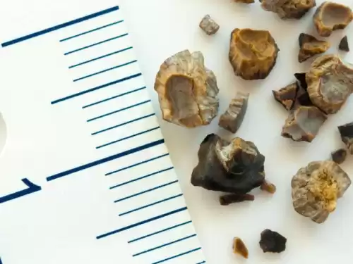 迷你世界如何让狗存放矿石　迷你世界狗会自己进狗窝吗-第2张