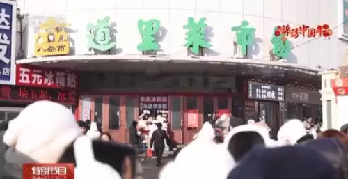 洛克王国锦绣蝶后活动在哪　洛克王国春晴谍影活动-第12张