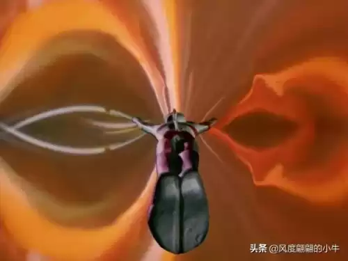 汉扎基兰的必杀技是什么　黑暗扎基的技能有哪些-第106张