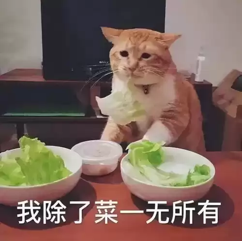 王者荣耀哪个英雄好玩又厉害　王者荣耀最有可玩性的英雄-第2张