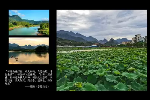 地下城堡2圣迹刺客蓝图坐标　地下城堡2流血免疫的装备-第8张