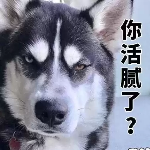 横行霸道不好人是什么意思　蛮横霸道和横行霸道-第5张
