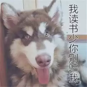 横行霸道不好人是什么意思　蛮横霸道和横行霸道-第6张