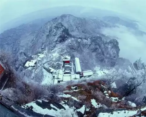 流星群侠传九曲棘怎么样　流星群侠传值得培养的武器-第2张