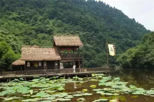 流星群侠传九曲棘怎么样　流星群侠传值得培养的武器-第8张