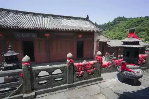 流星群侠传九曲棘怎么样　流星群侠传值得培养的武器-第14张