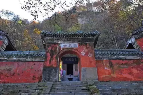 流星群侠传九曲棘怎么样　流星群侠传值得培养的武器-第15张