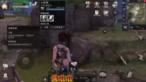 明日之后六级精准晶石好卖吗　明日之后4级采集晶石属性-第4张