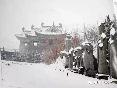 虎牢关大战龙龟怎么打　避水龙龟怎么过-第19张