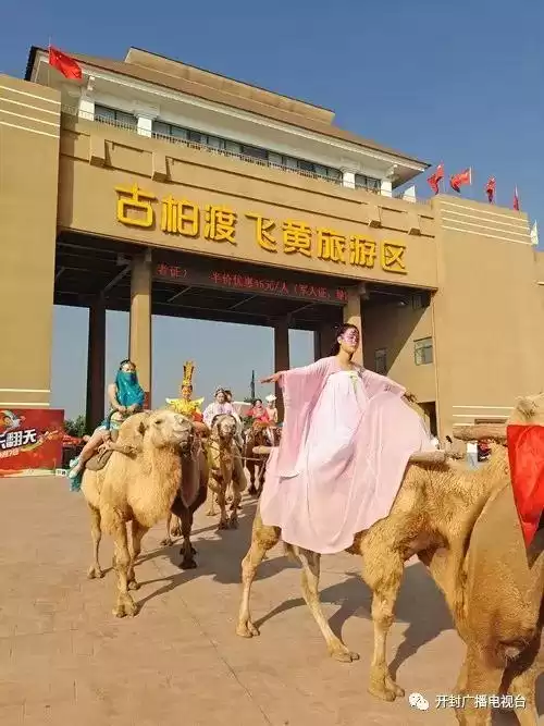虎牢关大战龙龟怎么打　避水龙龟怎么过-第21张