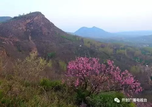 虎牢关大战龙龟怎么打　避水龙龟怎么过-第25张