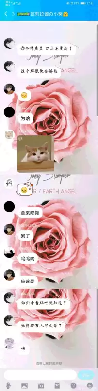 炉石瓦莉拉用的什么插件　炉石传说瓦娘-第3张