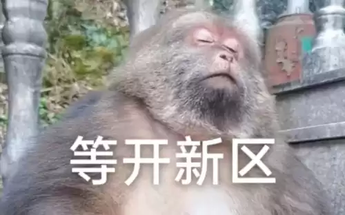 斗战神新区有什么好　斗战神玩新区还是老区-第1张