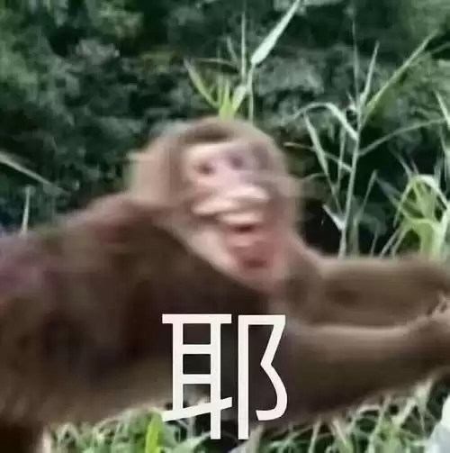 斗战神新区有什么好　斗战神玩新区还是老区-第2张