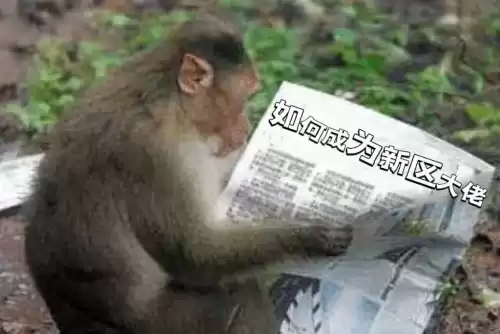 斗战神新区有什么好　斗战神玩新区还是老区-第3张
