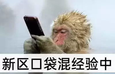 斗战神新区有什么好　斗战神玩新区还是老区-第7张