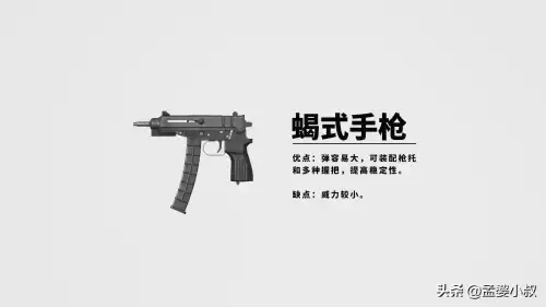 和平精英怎么用枪　和平精英最好用的几把枪-第8张