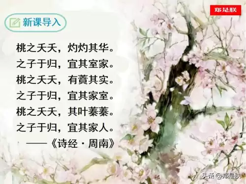 迷你世界桃树怎么长高　迷你世界桃树-第3张