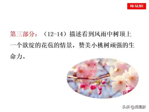 迷你世界桃树怎么长高　迷你世界桃树-第11张