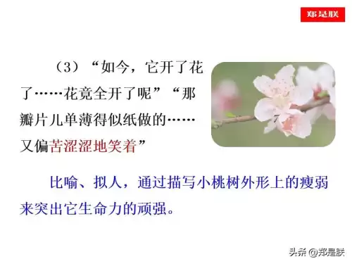 迷你世界桃树怎么长高　迷你世界桃树-第15张