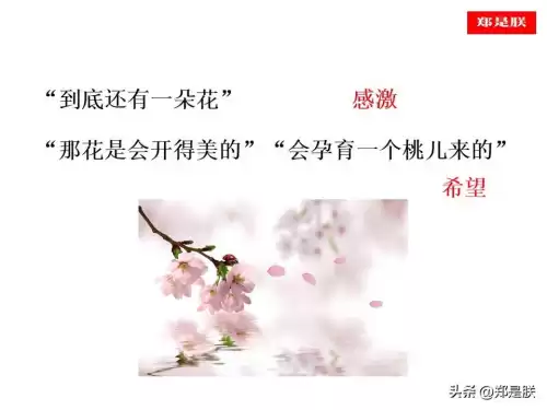 迷你世界桃树怎么长高　迷你世界桃树-第18张
