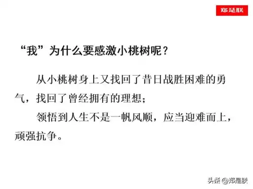 迷你世界桃树怎么长高　迷你世界桃树-第24张