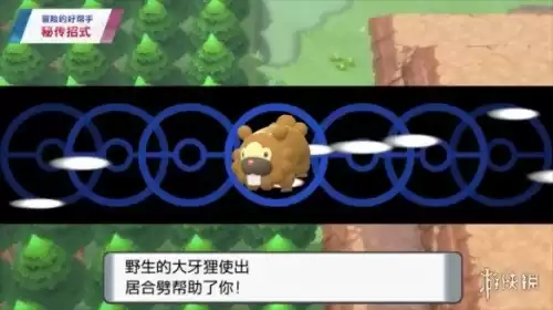 口袋妖怪钻石攀岩秘籍在哪里获得　口袋妖怪珍珠攀岩术在哪里拿-第6张