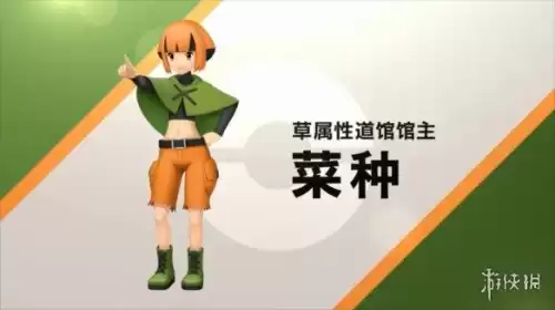 口袋妖怪钻石攀岩秘籍在哪里获得　口袋妖怪珍珠攀岩术在哪里拿-第15张