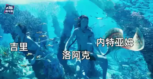 阿凡达他们怎么知道男女主结合了　阿凡达剧情详细介绍-第28张