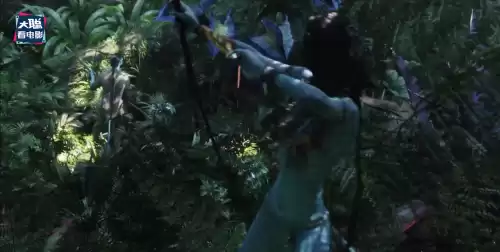 阿凡达他们怎么知道男女主结合了　阿凡达剧情详细介绍-第31张