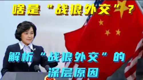 战狼外交是什么意思　战狼外交是谁提出来的-第1张