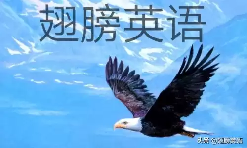 pains是什么意思　pain是什么意思-第4张