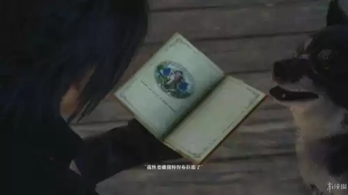 洛克王国魔尾战猫努力值怎么加　洛克王国宠物努力值怎样加-第19张