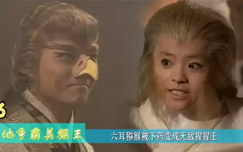 天地争霸美猴王哪能看　天地争霸美猴王-第5张