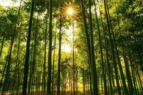 夏末惊蛰是什么意思　惊蛰是几月几号-第1张