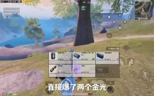 辐射1怎么给队友装备　核爆RPG怎么给队友装备-第7张